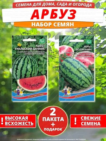 Семена арбуз для дома сада посадки
