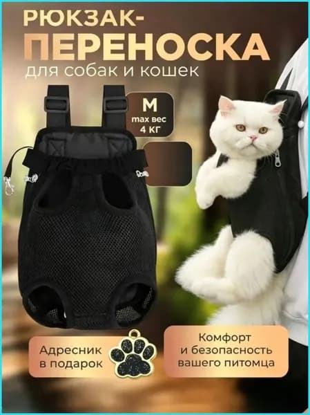 Рюкзак для кошек и собак, предназначенный для прогулок на природе, выдерживает вес до 4 кг
