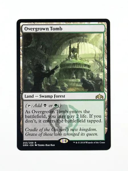 Голографическая (Holo) прокси-карта TCG/MTG Proxy: Overgrown Tomb #253