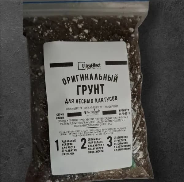 Грунт для Декабриста