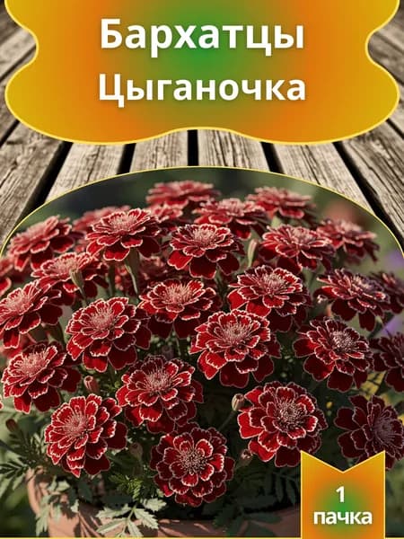 Бархатцы Цыганочка , семена 10 шт.