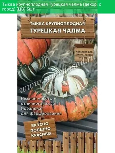 Тыква Крупноплодная Турецкая Чалма (Декор. Огород) 5шт