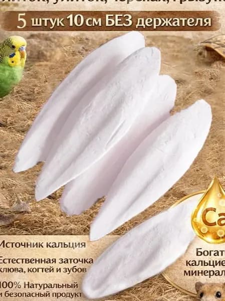 Сепия панцирь каракатицы для птиц, улиток, черепах, грызунов 5 штуки 8-10 см БЕЗ держателя