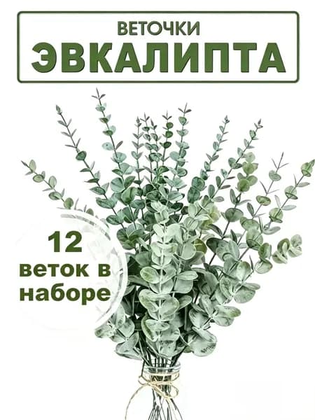 Искусственные цветы Эвкалипт 12 шт темно-зеленый, белый