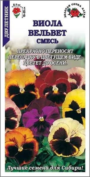 Виола Вельвет /Сотка/ 0,05 г/ смесь h-25см, d-7см/*