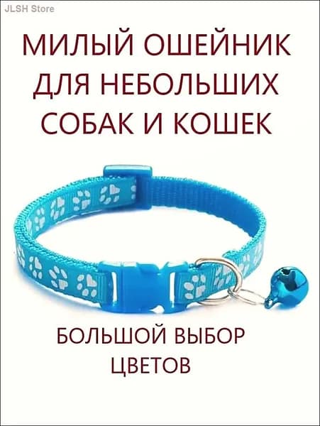 Ошейник