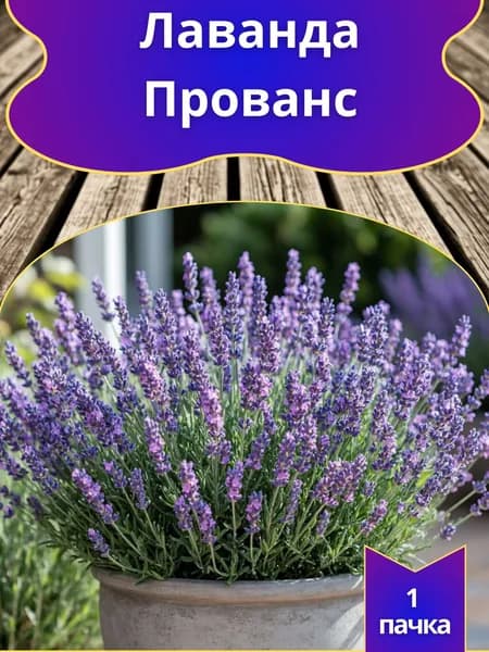 Лаванда "Узколистная Прованс" (семена)
