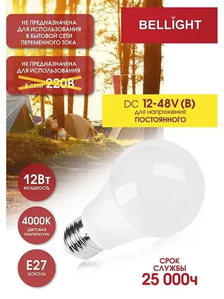 Лампа светодиодная НИЗКОВОЛЬТНАЯ DC,А60 12W 4000K,1шт