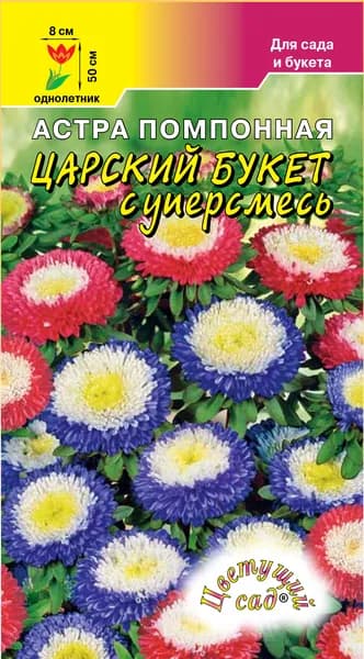 Астра помпонная смесь двухцветная