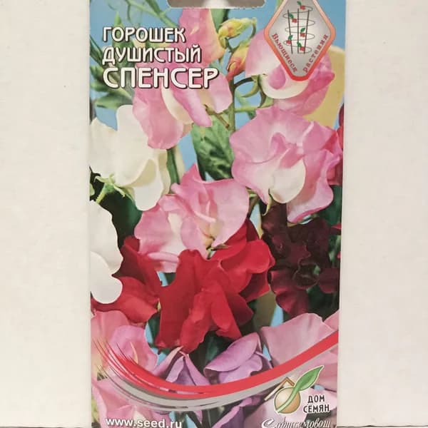 Горошек душистый Спенсер, 14 семян