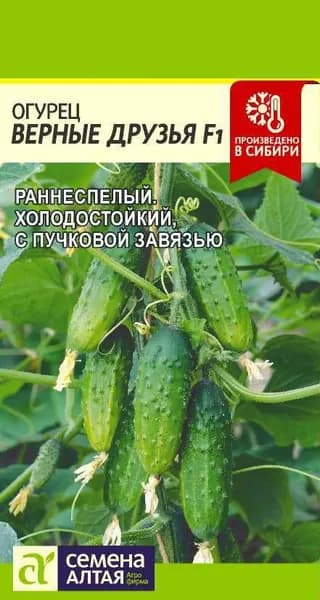 Семена Огурец Верные друзья F1 (5 шт) - Семена Алтая