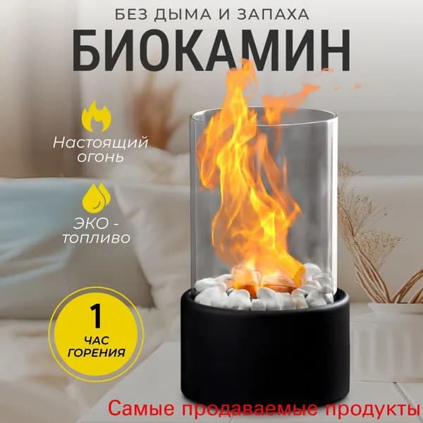 Биокамин Настольная установка