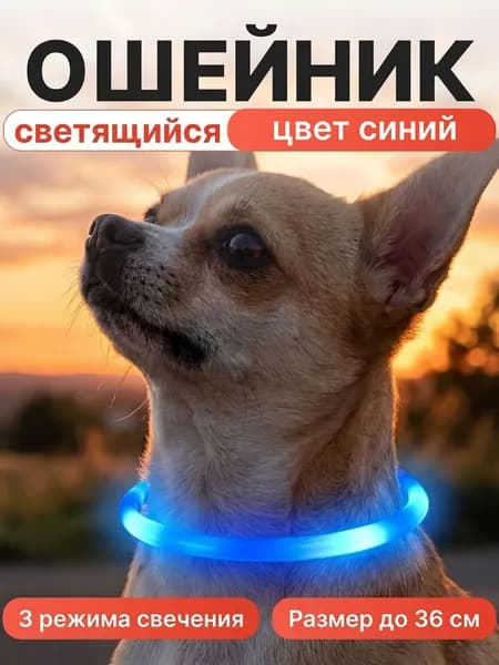 Светящийся ошейник для собак маленьких пород