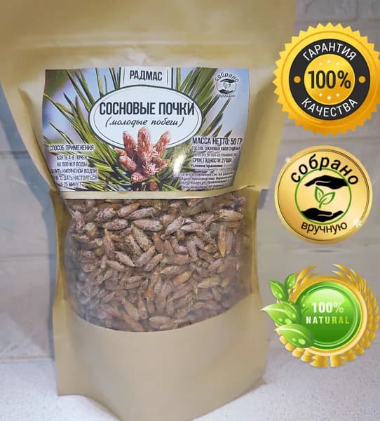 Сосновые почки (молодые побеги) фиточай.