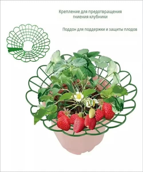 Комплект для ухода за растениями 1 шт