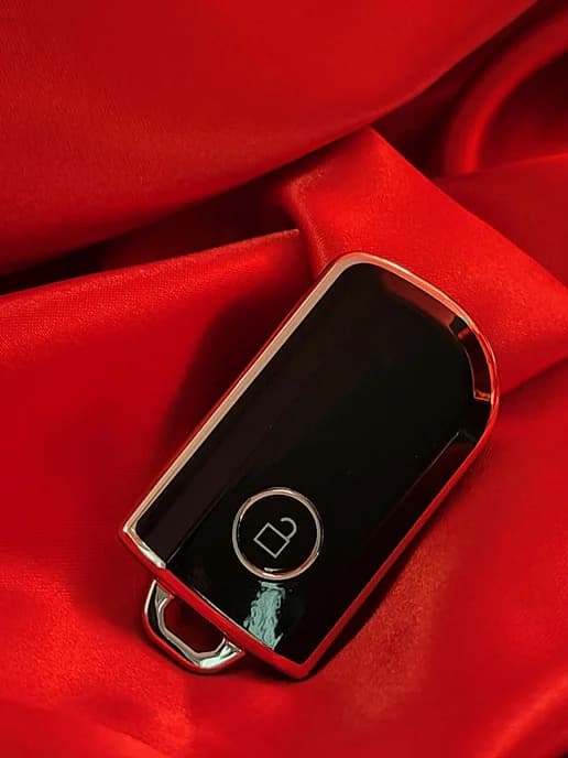 Чехол для метки Pandora DX-90 DX-91 DX-40R DX-57