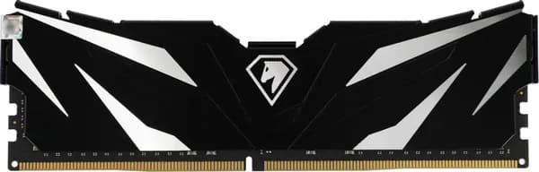Netac Оперативная память NTSWD4P26SP-08K DDR4, 2666 МГц, 1 x 8 ГБ (NTSWD4P26SP-08K)