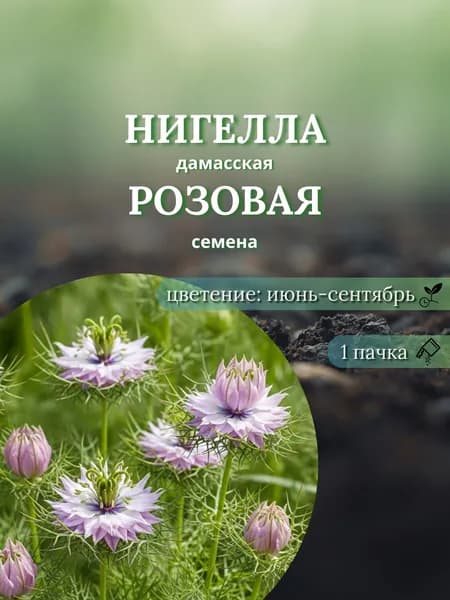 Нигелла дамасская Розовая, семена, 10 шт.