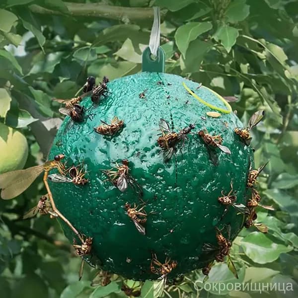 Ловушка для садовых вредителей