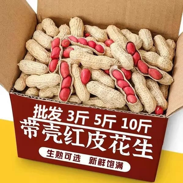 Свежий арахис с красной кожурой из Северо-Востока, натуральный ореховый продукт для жарки и повседневного перекуса