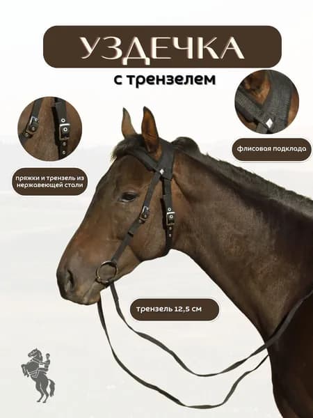 Уздечка с трензелем и поводом для лошади