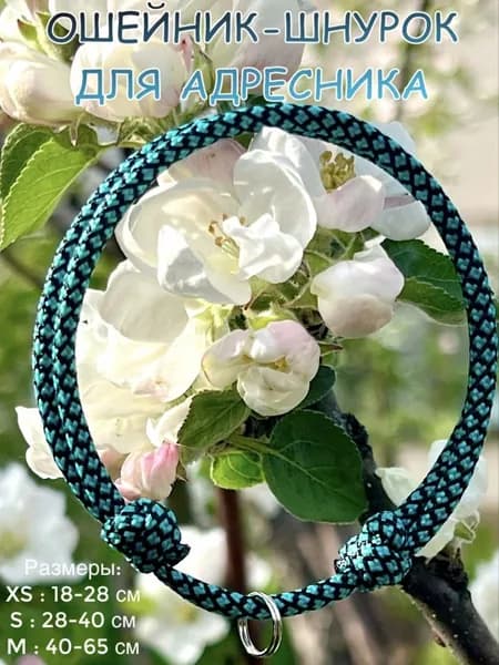 Ошейник-Шнурок для адресника из паракорда, Бирюзовый, XS (18-28см)