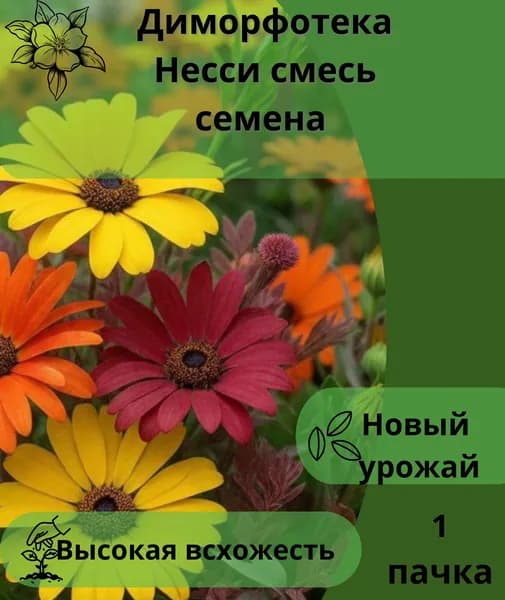 Диморфотека Несси, смесь, семена 10шт