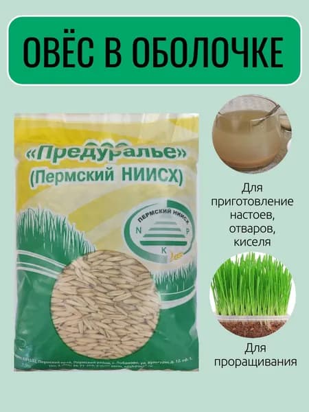 Овес в оболочке, 400 гр., для заваривания, проращивания