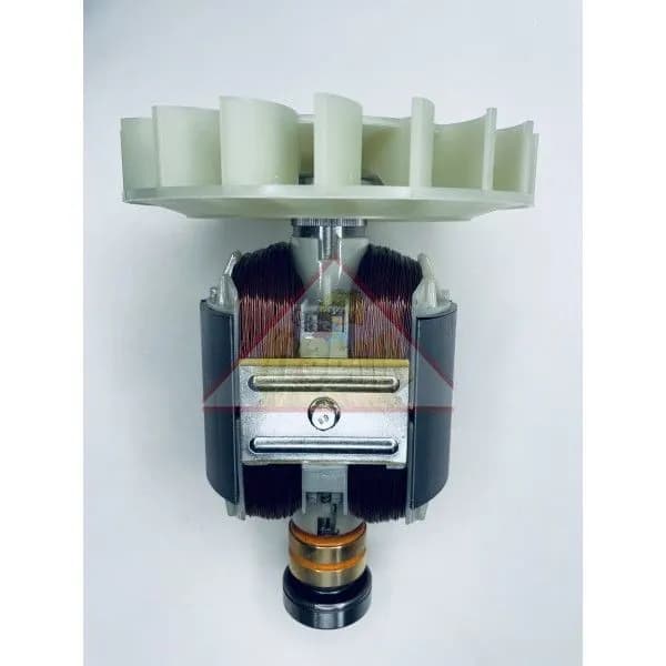 Ротор для генераторов Champion DG2200E/GG2700 (062024120002)