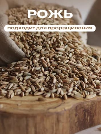 Рожь для проращивания, натуральная, необработанная 0,5 л