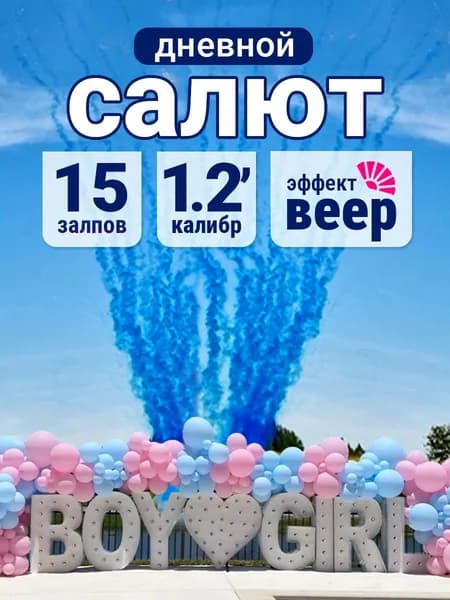 Гендерный дневной салют веерный мальчик 15 залпов 1.2 калибр