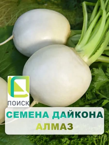 Семена Дайкон "Алмаз" 1 гр, для дома, дачи и огорода, овощи из семян, на грядку, в открытый грунт.