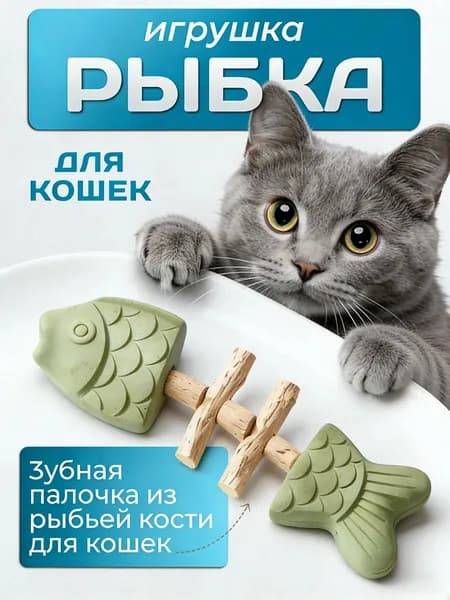 Игрушки с кошачьей мятой, грызунки для кошек (используются для чистки зубов), товары для самостоятельного развлечения и избавления от кошачьей скуки