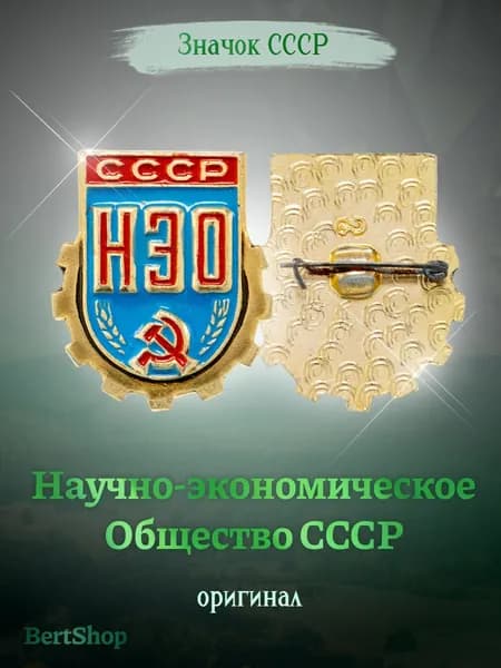 СССР Значок "Научно-экономическое Общество СССР"