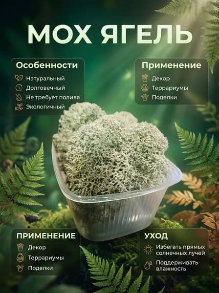 Стабилизированный мох, 1 шт