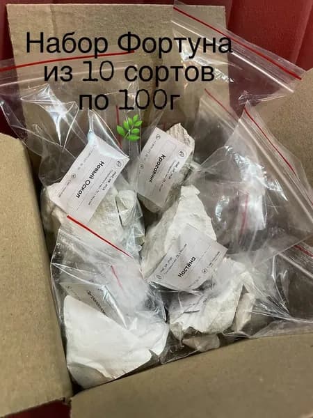 Мел. 1 кг. Набор Фортуна. 10 сортов по 100 г., природный кусковой, крупными кусками