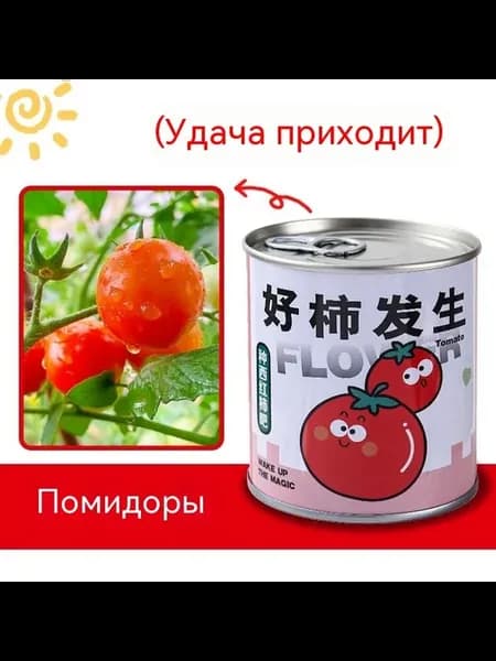 Слепая коробка Помидоры