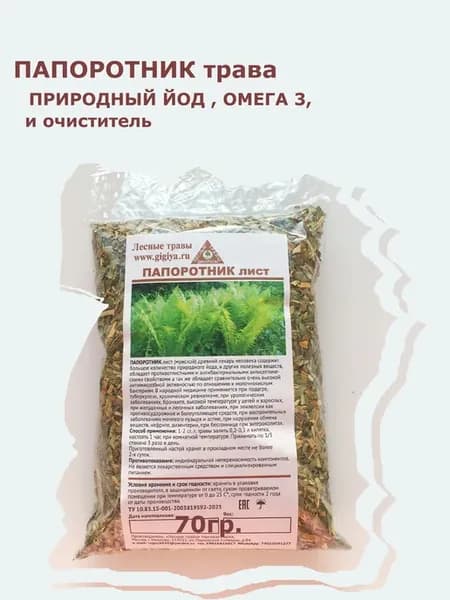 Папоротник лист