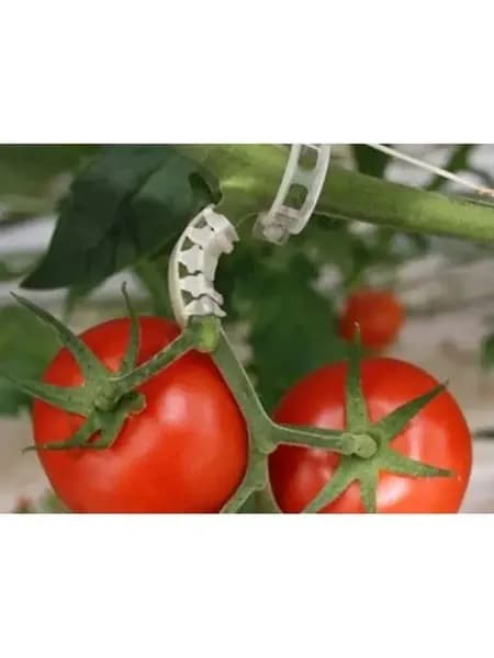 Кистедержатель для томатов Улитка, 35 шт