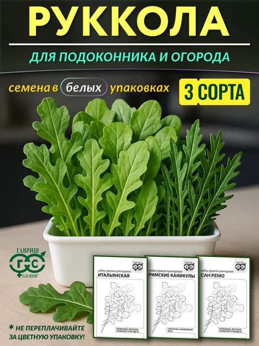 Семена рукколы для подоконника и огорода