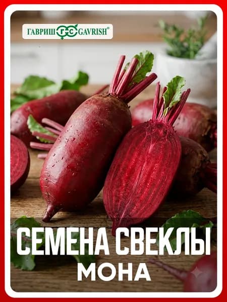 Семена Свекла "Мона" 1,0 г, для дачи, сада и огорода, в открытый грунт, для теплиц и парников, для свежих соков, подходит для консервирования