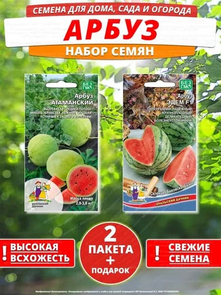 Семена арбуз для дома сада посадки