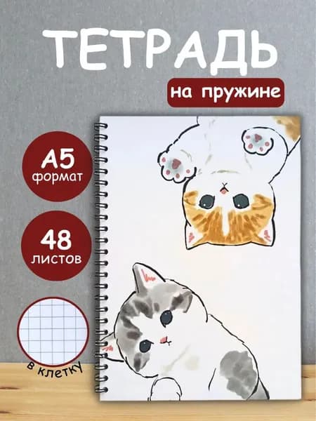 Тетрадь 48 листов в клетку на кольцах, блокнот А5 на пружине