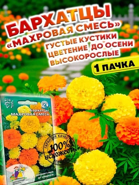 Семена Цветов Бархатцы Махровая Смесь