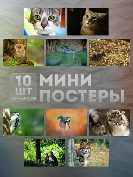 Мини постеры (набор) «Животные» 10 шт