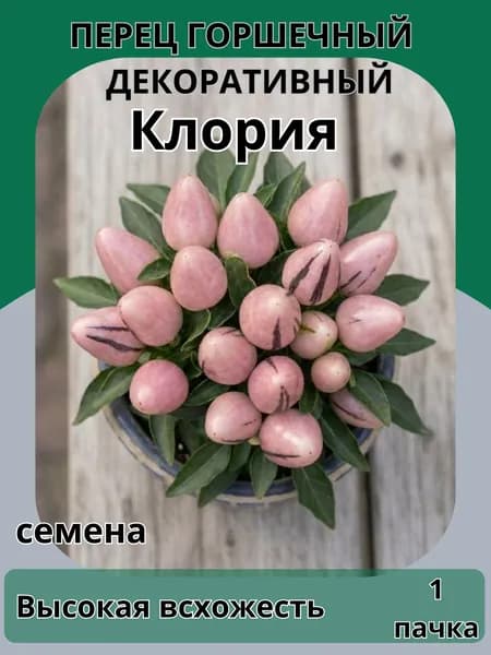 Перец декоративный Инфернора, семена 10шт