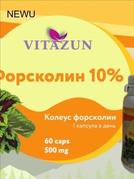 Форсколин Крапива индийская 500 мг. Экстракт 10:1. (тестостероновый бустер/жиросжигание)