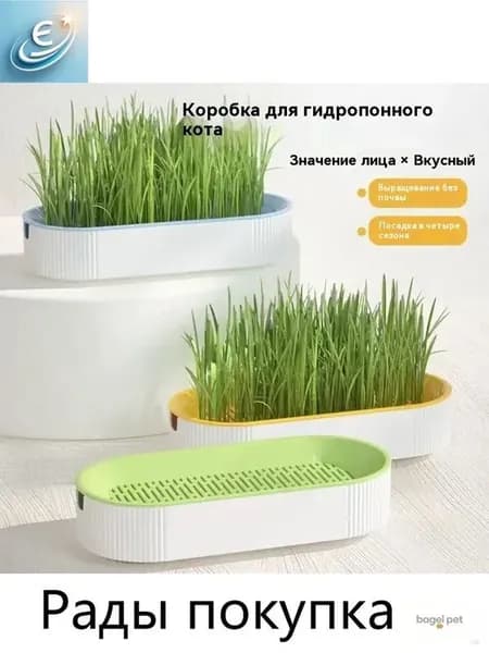 Коробка для кошачьей травы с 5 пакетиками семян, гидропонный контейнер для домашнего выращивания