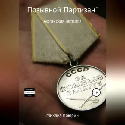 Позывной Партизан | Каюрин Михаил Александрович | Электронная аудиокнига