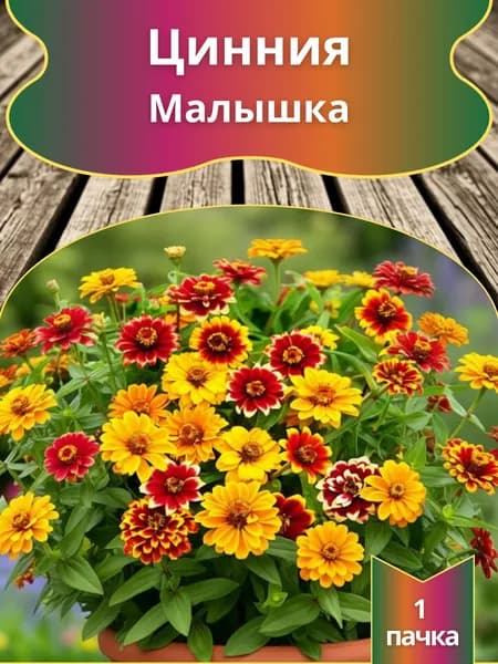 Цинния Малышка , семена 10 шт.